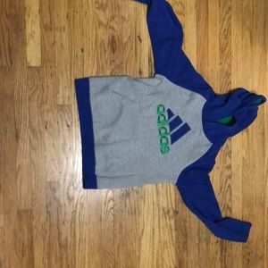 Adidas lifestyle hoodie